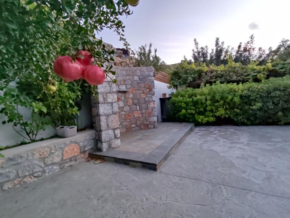 Aithonas Villa Archangelos  Eksteriør billede