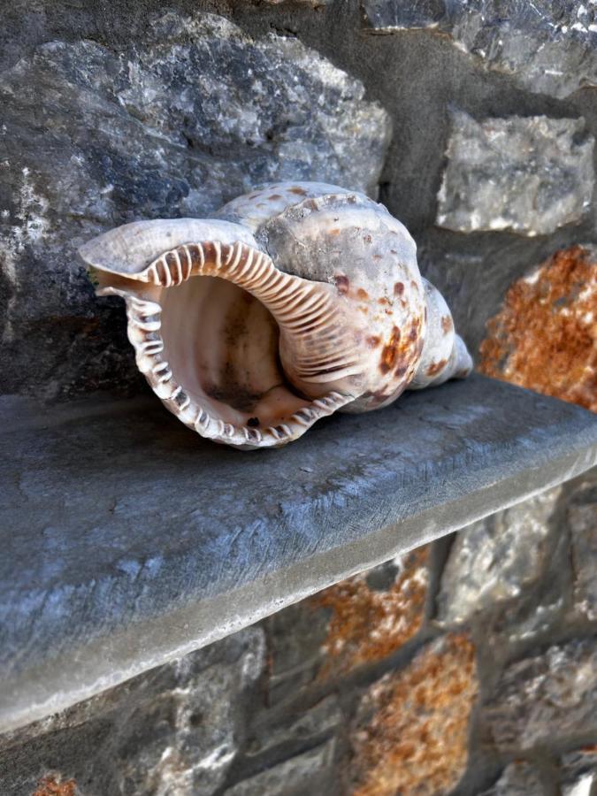 Aithonas Villa Archangelos  Eksteriør billede